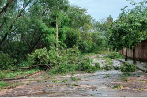 Temporal provoca queda de árvores e postes e destelhamentos parciais de imóveis em Tarabai